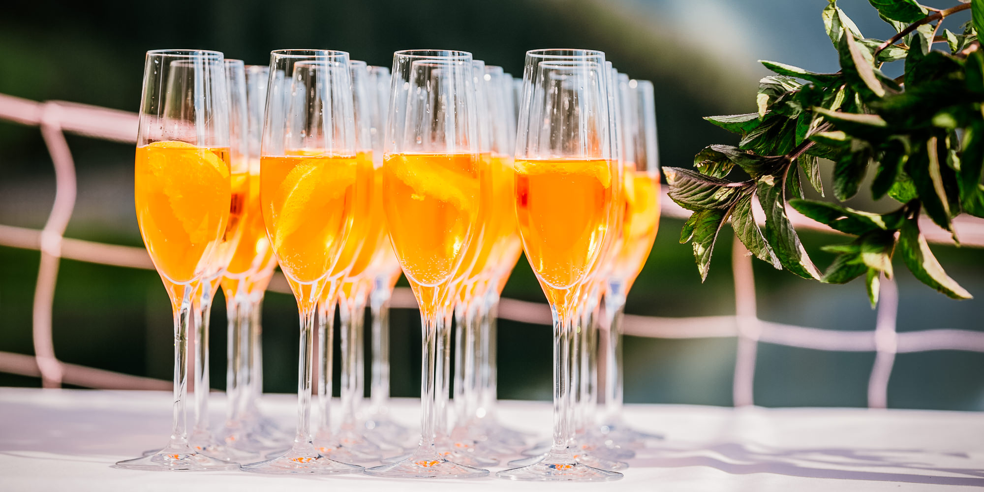 Export x3 058 JC 704 Beispiele Eva 2016